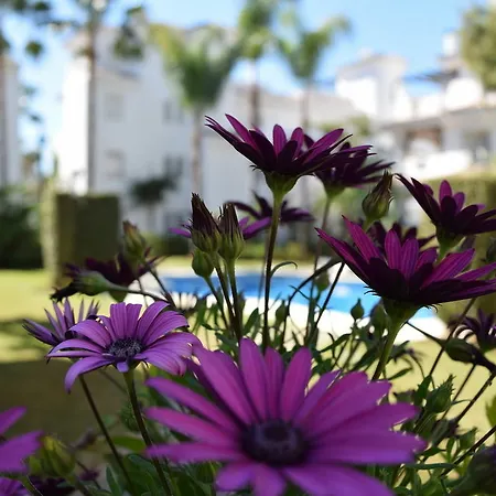 Y Casas Serinamar Marbella Hotel El Ángel